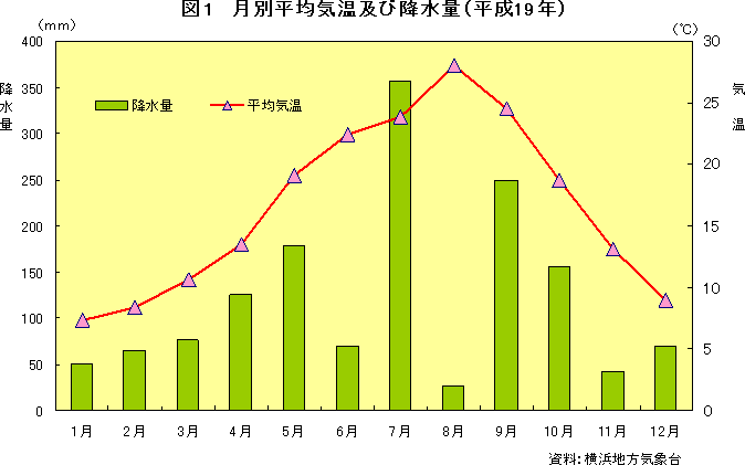 図1　月別平均気温及び降水量（平成19年）