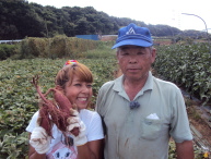 黒川東営農団地で芋掘り！農家の方にお話を伺いました。