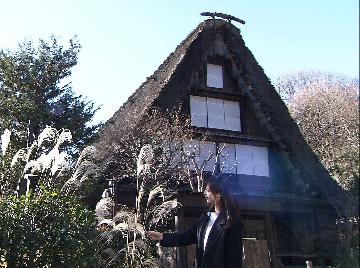 国指定重要文化財の古民家の数が日本で最も多くとても貴重な屋外博物館です。