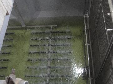 下水処理センターの微生物を利用して水をきれいにする装置も紹介します。