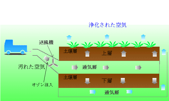 浄化システムのイメージ図