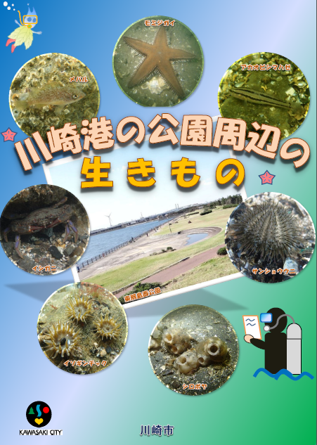 川崎港の公園周辺の生きものの表紙