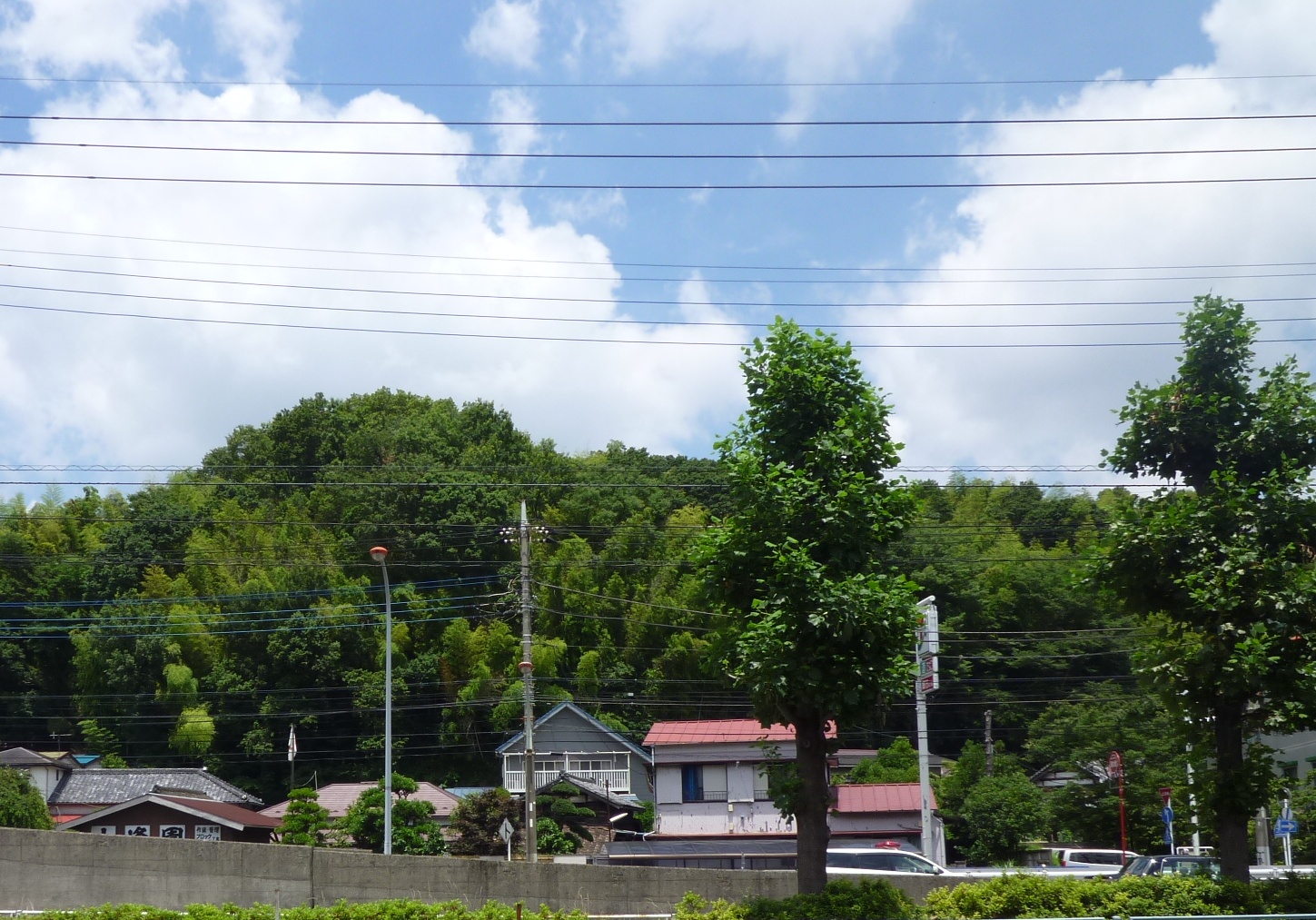 東生田緑地の写真。