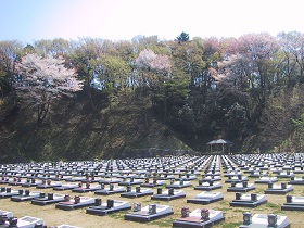 芝生型墓所