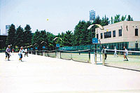 等々力緑地公園のテニスコートの写真