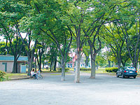平間公園の写真