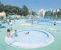 平間公園のプールの写真