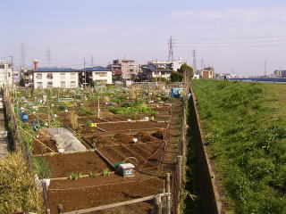 市民農園