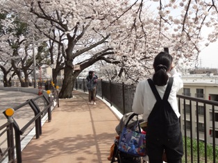 桜の写真を撮る方々