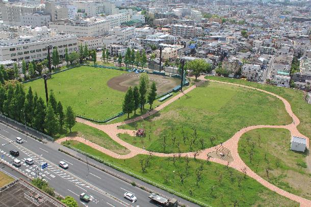 御幸公園の全体です