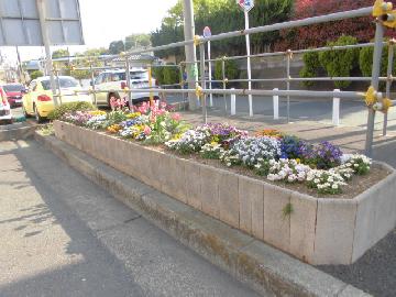 区役所前通り、久本バス停前の花壇写真