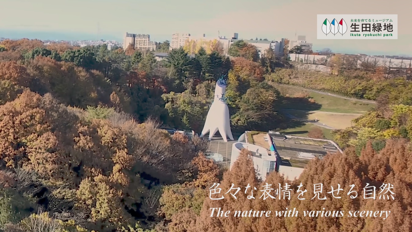 秋の岡本太郎美術館・母の塔