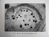 通史編1　黒川遺跡の竪穴住居跡（縄文時代中期）