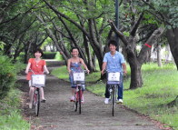 川崎マリエンの貸し自転車は無料。緑道を抜けて東公園へサイクリング！