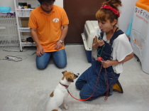 犬のしつけ方も、ちゃっかり教わってきました。