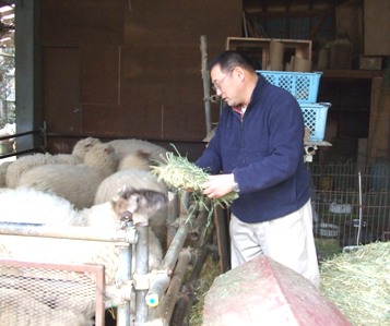 移動動物園　福田牧場（高津区）