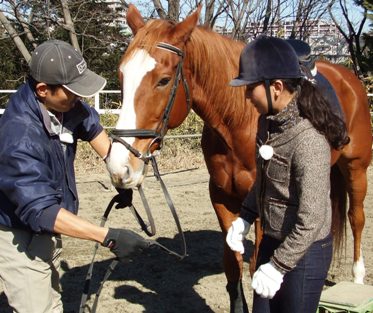 市内唯一の乗馬クラブサンヨーガーデン（麻生区）