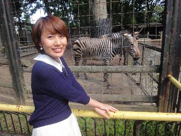 シマウマがいる動物公園！