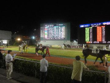 パドックで馬の状態を