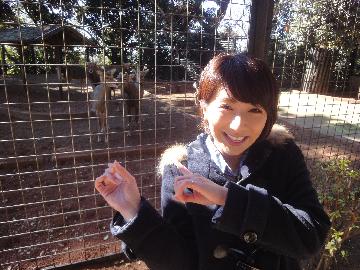 春には綺麗な桜が咲く夢見ヶ崎動物公園！ここの周辺には11基もの古墳が築造されていたんです！