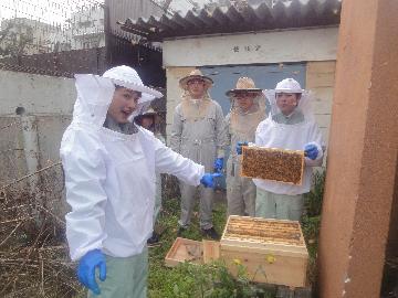 県立川崎高校の養蜂部の皆さんにミツバチと巣箱を見せてもらいました！