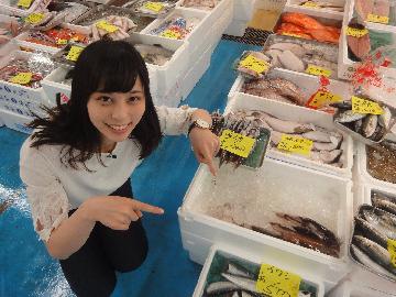 新鮮なお魚が毎日届く南部市場！一般の方も買い物ができます。