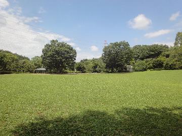 自然いっぱいの王禅寺ふるさと公園。実は絶滅危惧種「タマノカンアオイ」という植物が自生している公園の一つです。