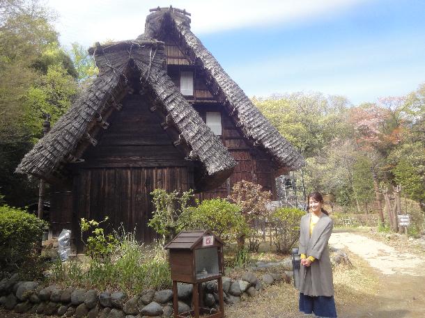 【写真】日本民家園の様子が写っています