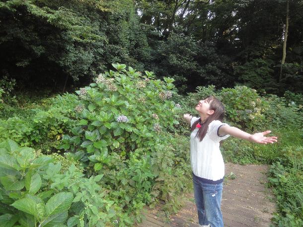 （写真）自然の多い緑ヶ丘霊園の様子が写っています