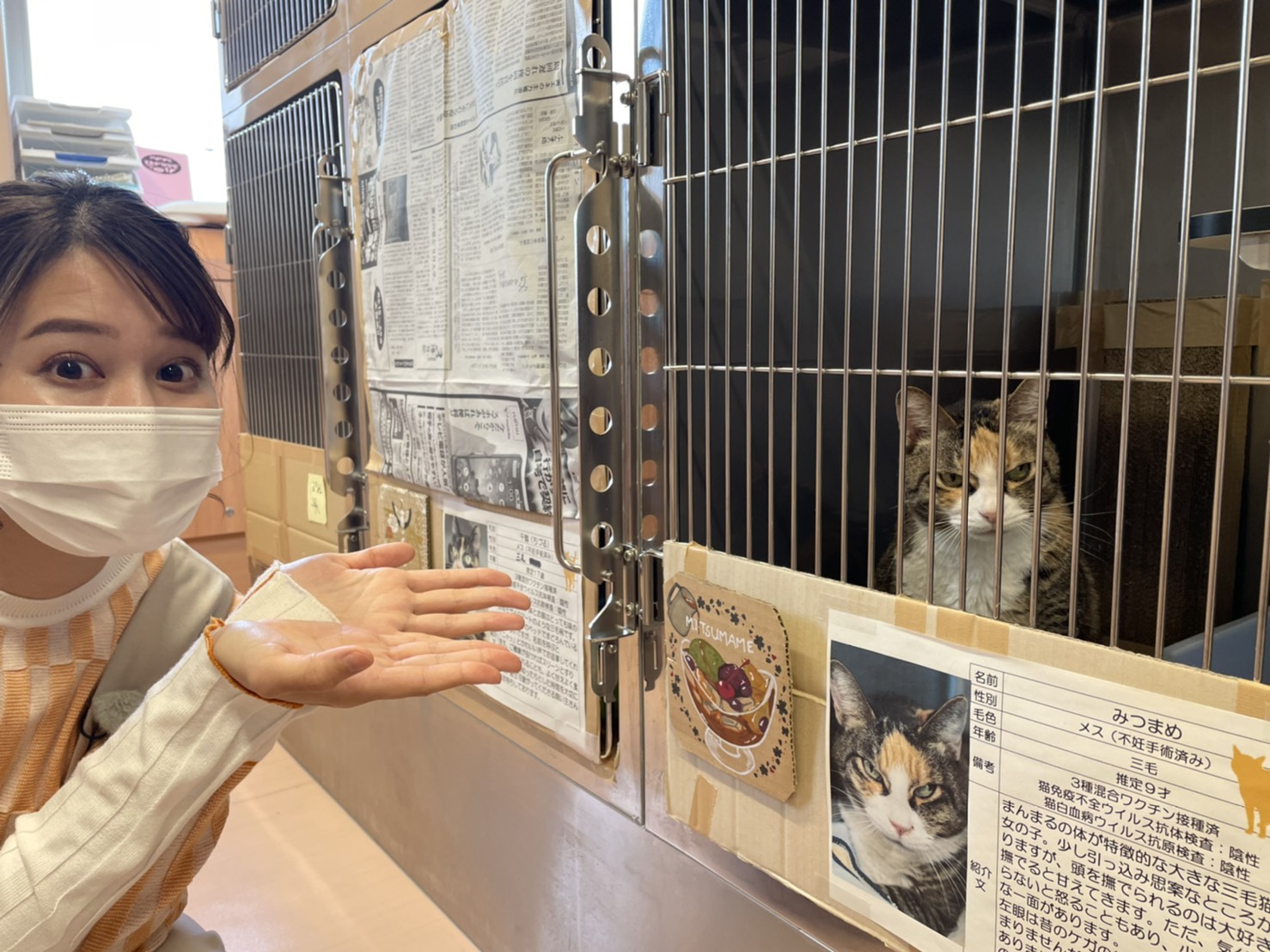 【写真】プレゼンターと保護された猫が写っています。