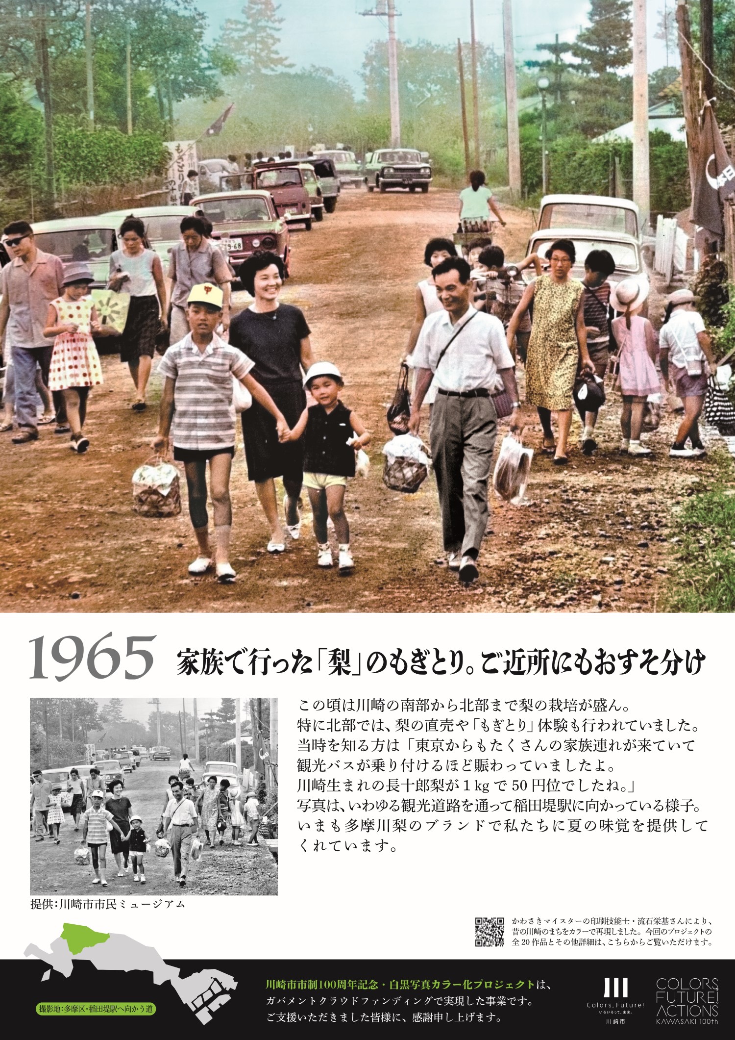 1965年梨のもぎ取りのパネル