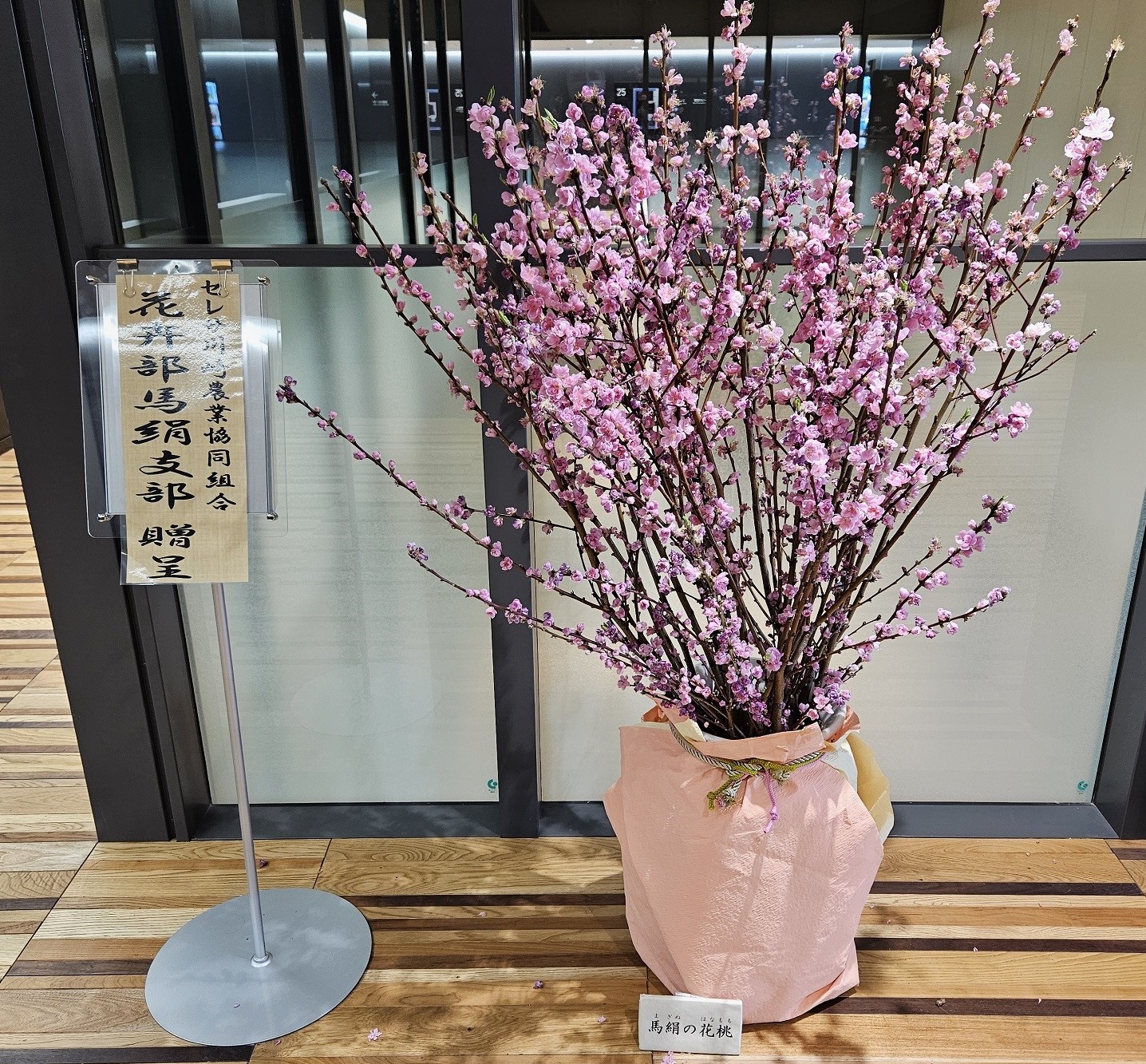 写真2:展示された花桃の様子