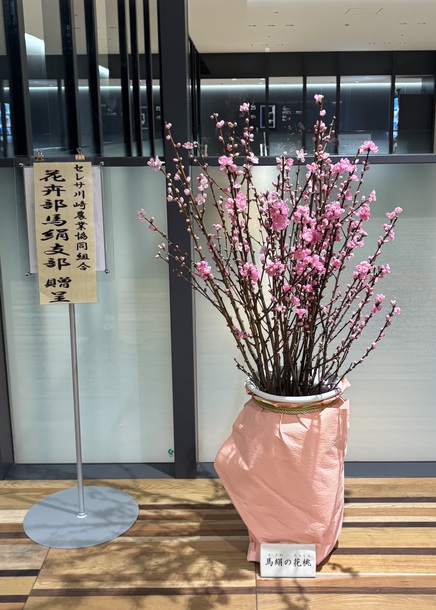 写真2:花桃の展示の様子