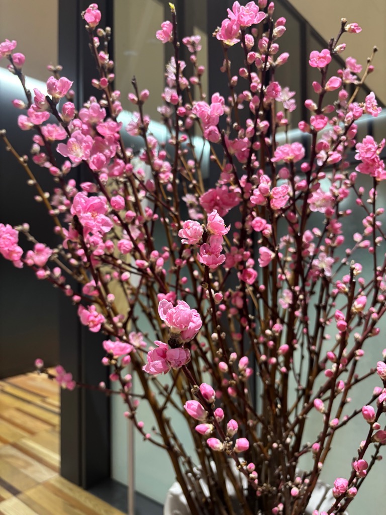 写真3:花桃の展示の様子