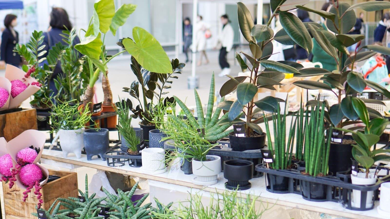 しんゆりフェスティバル・マルシェ vol.45