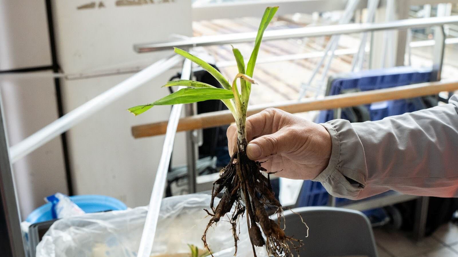 まるっとサステナフェスティバル