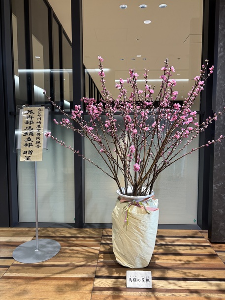 写真3：本庁舎25階での展示
