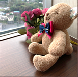 小さなクマとバラの花を窓辺に飾る