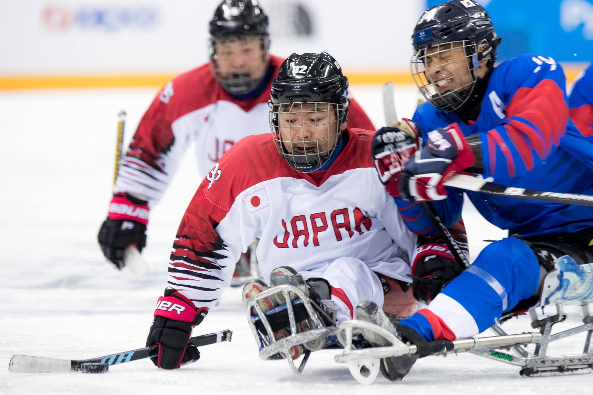 上原大祐さんの写真