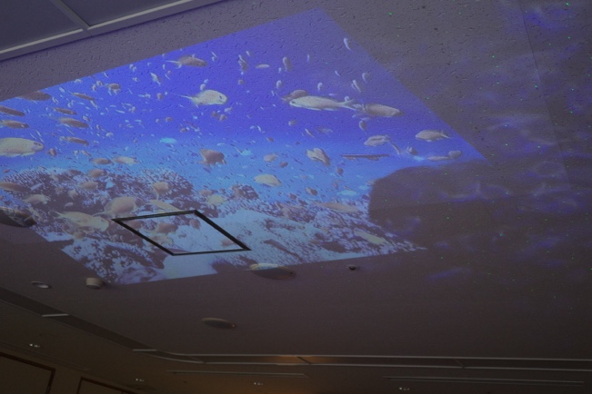 ワークショップの写真3