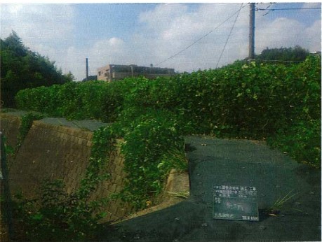 池の写真