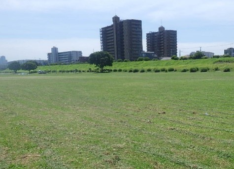 多摩川緑地の写真