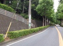 景観の写真