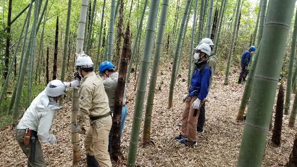 緑地の保全2