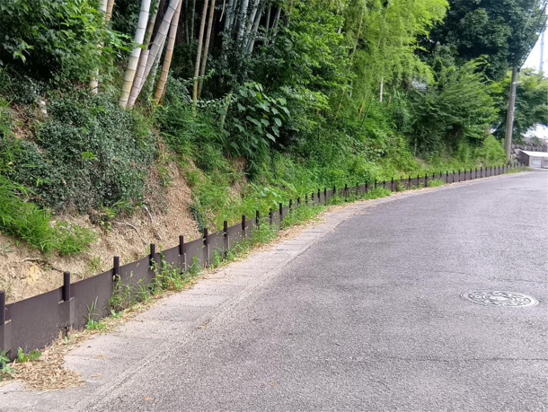 景観の写真