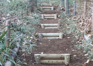 階段の写真