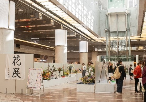 花展