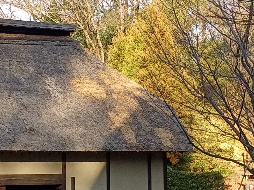 佐々木家の差し茅