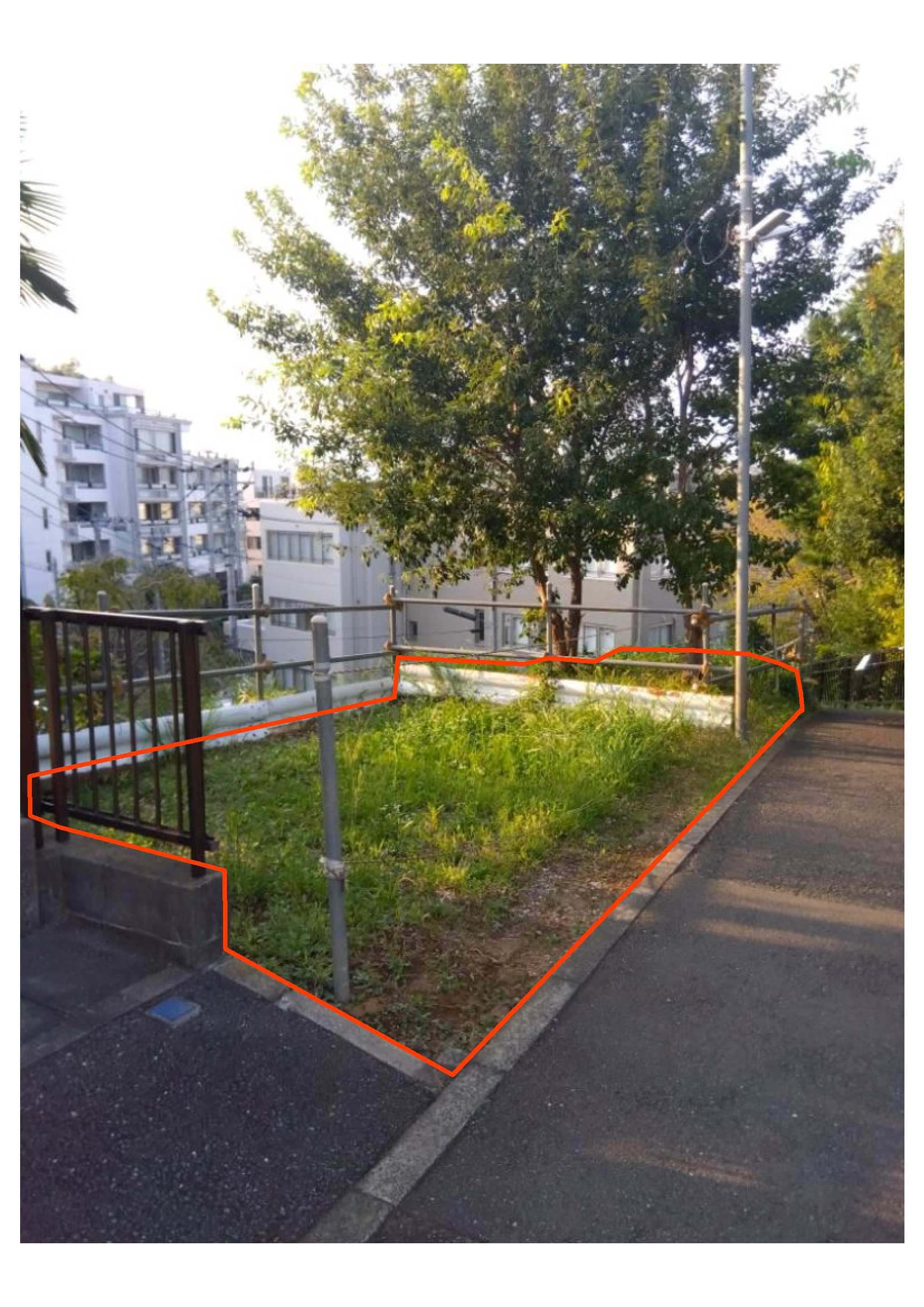 現地写真6