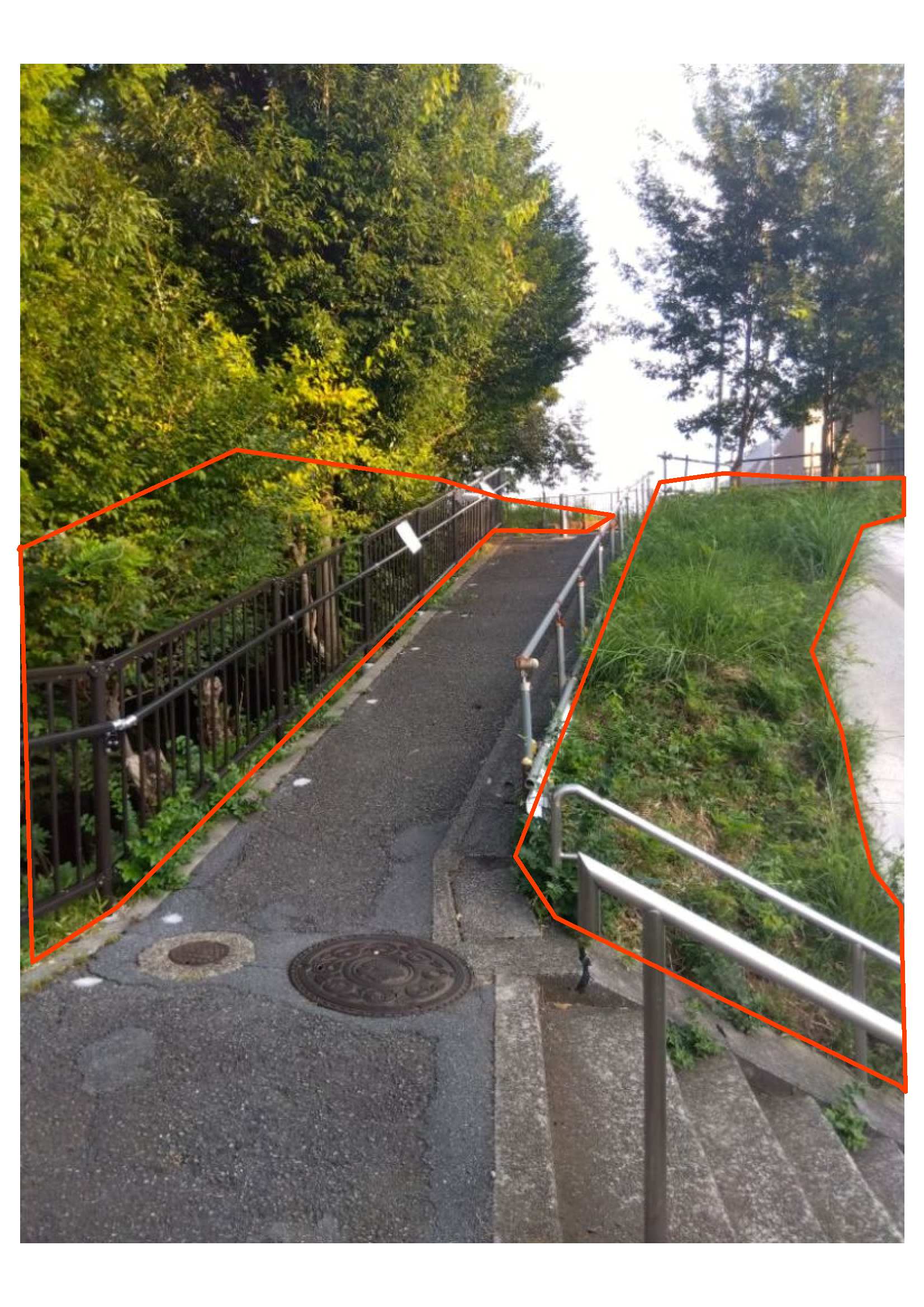 現地写真7
